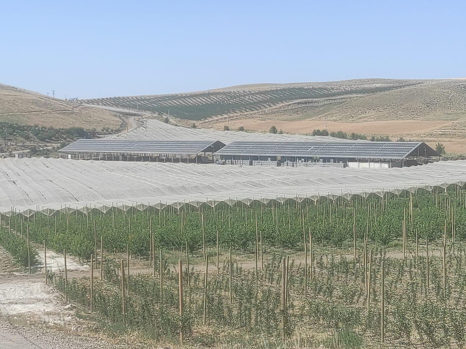 Niğde Ulukışla Saklıbahçe 440 kWe GES — 2